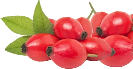 Rosehip